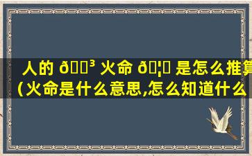 人的 🐳 火命 🦊 是怎么推算（火命是什么意思,怎么知道什么命）